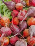 Mixed Beetroots Stock Photo