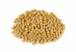 Soy Bean Isolated On The White Background Stock Photo