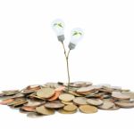 Light Bulb On The Tree And Coin Stock Photo