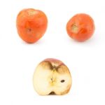 Rotten Apple  And Tomato Stock Photo