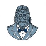 Gorilla Tuxedo Jacket Monoline Color Stock Photo