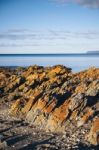 Beautiful View Of Rocky Cape, Tasmania Stock Photo