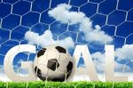 Goal. A Soccer Ball In A Net Stock Photo