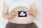 Pregnant Belly With Ultrasound Photo Stock Photo