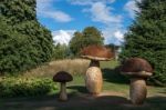 Tom Hare's Fungi Fairy Ring At Kew Gardens Stock Photo