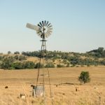 Cows And A Windmill In The Countryside Stock Photo