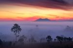 Misty Clouds Beautiful Foggy Forest During Sunrise Mountains Stock Photo