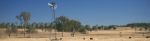 Windmill And Cows In The Countryside During The Day Stock Photo