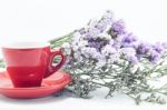 Red Cup Of Cofee And Static Flower Stock Photo