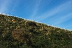 View Of Bruny Island Beach In The Afternoon Stock Photo