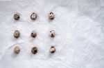 Quail Eggs Flat Lay Still Life With Food Stylish Stock Photo