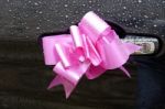 Pink Ribbon Bow Stock Photo