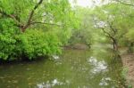 River In The Forest Stock Photo