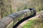 Steam Train On The Bluebell Railway Line In Sussex Stock Photo