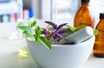 Mortar And Pestle With Herbs  Stock Photo