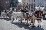 Carriage And Horses In Krakow Stock Photo