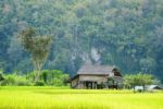 Farmer's Cottage Located In The Middle Of The Field Stock Photo