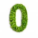 Alphabet Number 0 With Leaves Stock Photo