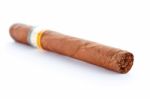 Cuban Cigar Stock Photo