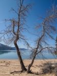 Landscape Of Lake Tahoe Stock Photo