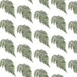 Fern Background Stock Photo