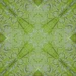 Seamless Pattern Stock Photo