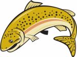 Rainbow Trout Jumping Cartoon Isolated Stock Photo