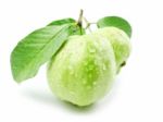 Guavas With Leaves Stock Photo