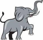 Elephant Marching Prancing Cartoon Stock Photo