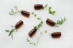 Top View, Bottle Of Essential Oil With Herbs Stock Photo