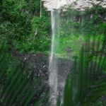 Purlingbrook Falls In Springbrook Stock Photo