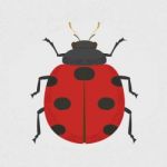 Lady Bug Stock Photo