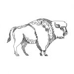 American Buffalo Doodle Art Stock Photo