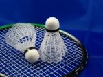 Badminton Stock Photo