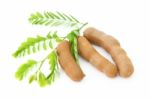 Tamarind With Leaves Stock Photo