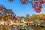 Gyeongbokgung Palace In Autumn,south Korea Stock Photo