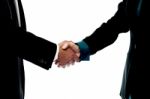 Business People Handshake Stock Photo