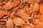 Crabs Stock Photo