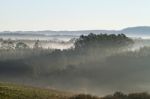 Morning Mist Stock Photo