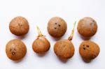 Coconuts Isolated On The White Background Stock Photo