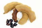 Tamarind Stock Photo