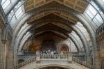 People At The Top Of A Staircase At The Natural History Museum I Stock Photo