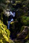 Avalanche Creek Stock Photo