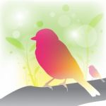 Abstract Bird Background Stock Photo