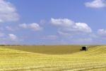 Harvesting Stock Photo