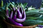 Fresh Healthy Eggplants On Dark Background Stock Photo