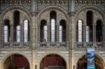 Interior View Of The Natural History Museum In London. Unidentif Stock Photo