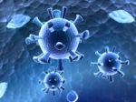 Virus Stock Photo