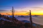 Silhouette Of Dead Trees, Beautiful Landscape At Sunrise On Deogyusan National Park In Winter,south Korea Stock Photo