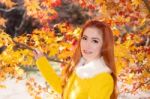 Young Woman With Autumn Leaves In Maple Garden Stock Photo